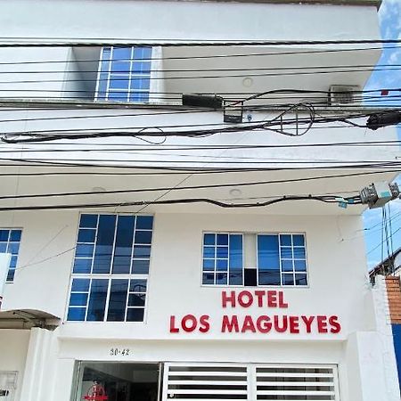 Hotel Los Magueyes Bucaramanga Dış mekan fotoğraf