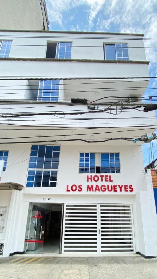 Hotel Los Magueyes Bucaramanga Dış mekan fotoğraf