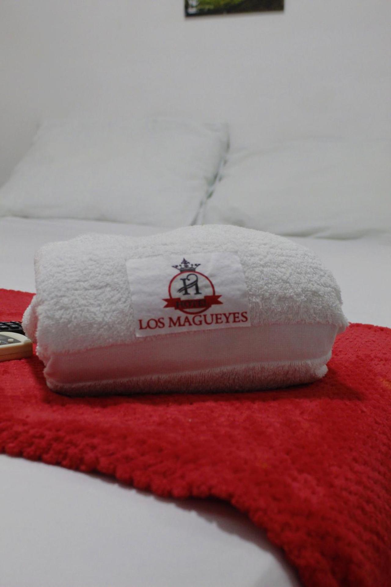 Hotel Los Magueyes Bucaramanga Dış mekan fotoğraf